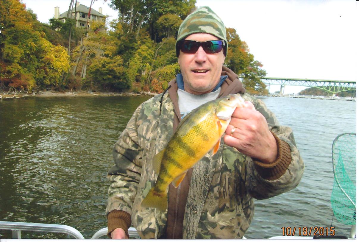 Perch Fishing