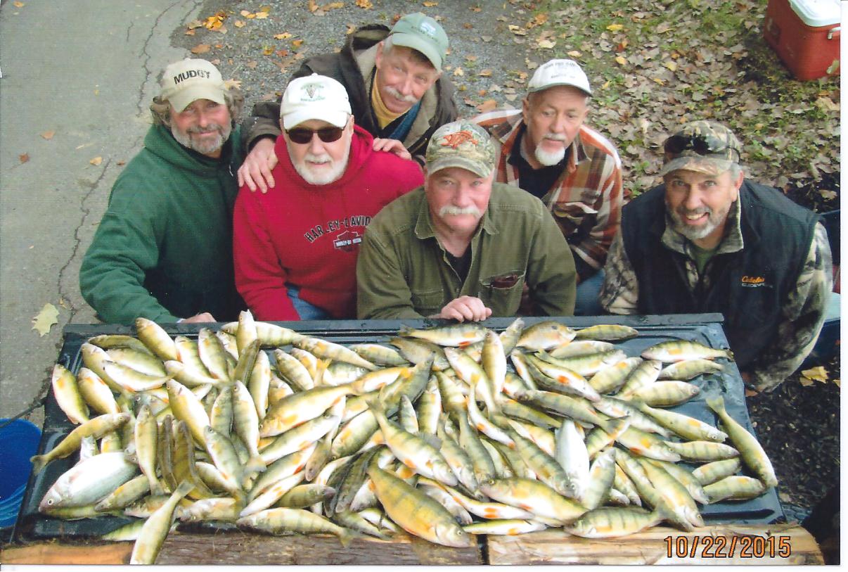 Perch Fishing