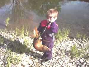 chemung river carp