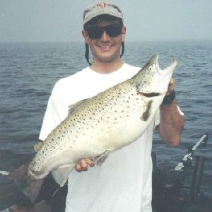 Anthony Ficacci from Flanders, N.J. caught this monster 16 pound brown trout from Lake Ontario