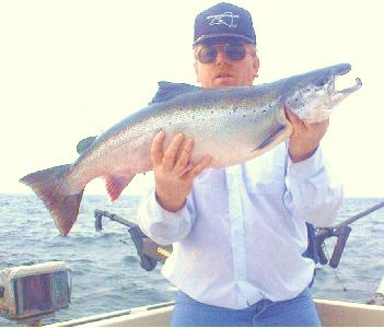 Atlanltic salmon from Lake Ontario