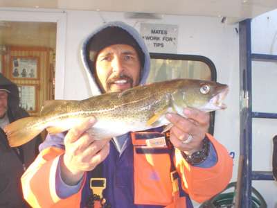 Joey Bud Russo was out fishing aboard the party boat Capt Mike with Capt. Mike Cannon. They were fishing for Tautog and thats when Joe caught the first keeper cod on the year on the Capt Mike