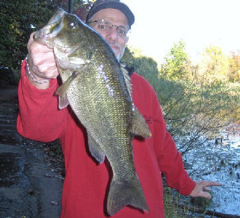 the date was October 20, 2008 when Craig Belesi caught this awesome Largemouth Bass from Oakland Lake in Bayside Queens