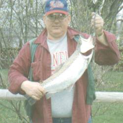 cayuga brown