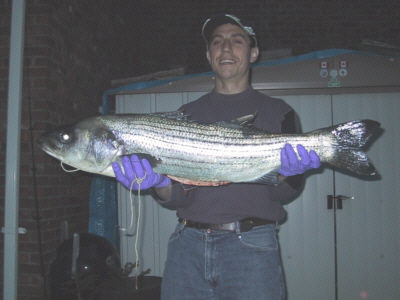 Surf Fishing For Striped Bass
