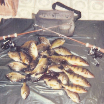 ice fishing
