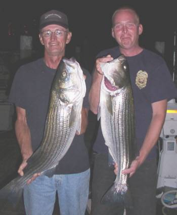  Pictured here is Captain Jeff Roye and Harold Lynn with two Moriches stripers. A 38 incher for the Captain and Harold with a 34 incher. Both caught using clams on the in coming tide in Moriches Inlet on August 6, 2005
