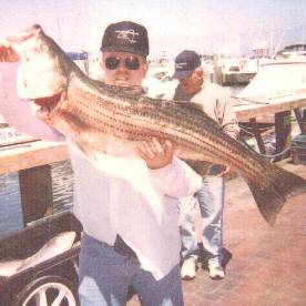 25 pound striper