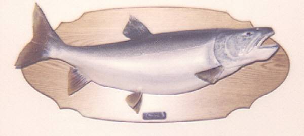 lake trout