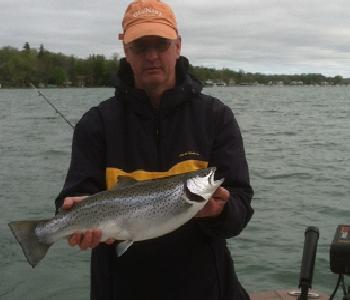 A Trophy Brown Trout