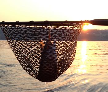 Canandaigua Lake Trout Fishing at its finest