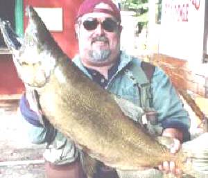 King Salmon