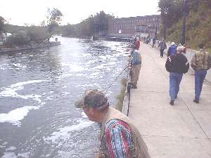 This is a view of the Oswego River looking north towards the power plant