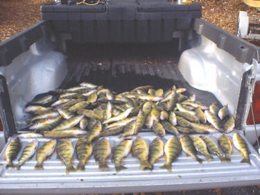 Irondequoit Bay Perch fishing