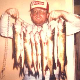 pickerel
