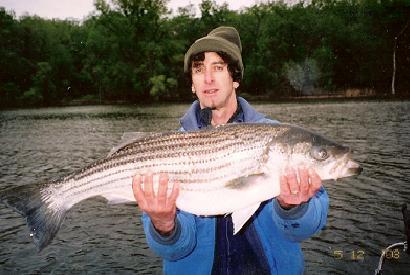 The main factors that control the upstream migration of the striped bass are the water temperature and water clarity