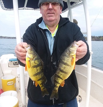 Big perch
