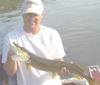 TJ  Blackwell from Corning, NY. was fishing on Seneca Lake For smallmouth bass. They were fishing just below Lodi Point. When he caught this big northern pike