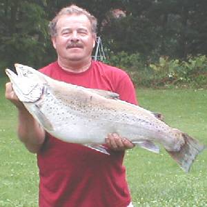 20 pound sodus brown trout