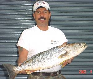 Captain Joe Russo with his 10.64 lbs. weak fish caught on bunker in Jamaica Bay  05-21-2003