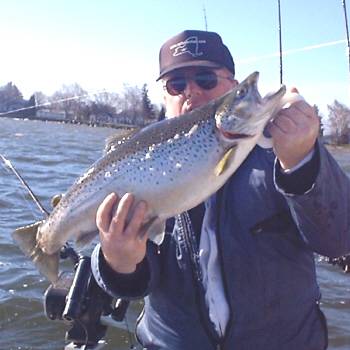 Raymond Martin from Elmira NY was fishing on Lake Ontario aboard the BUC-A-ROO. The fishing was simply fantastic. Here is a 14 pound Brown Trout taken on a stickbait off a planer board in 7 feet of water
