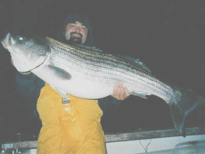 Pictured here is Captain Steve Coby of Chance of a Lifetime Charters. Steve proudly displays the caliber of striped bass that are available to anglers during the months of April and May on the Hudson River
