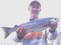 Landlocked Salmon From Seneca Lake