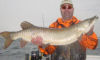 Pike and Muskellunge Fishing In NY