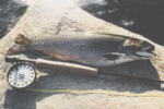 Trout Bum Guide Service logs more days on Skaneateles Lake chasing trout with traditional fly tackle than any other guide service. Experience makes the difference