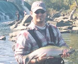 Adam Tufillaro was fishing below the dam on the Oswego River. That's where he caught this wonderful rainbow trout. This feisty trout hit a chartreuse estaz fly that was being drifted weightless through the slack water. After an amazing display of strength and acrobatics this fish was quickly landed. After a few photos of the fish were taken it was promptly released